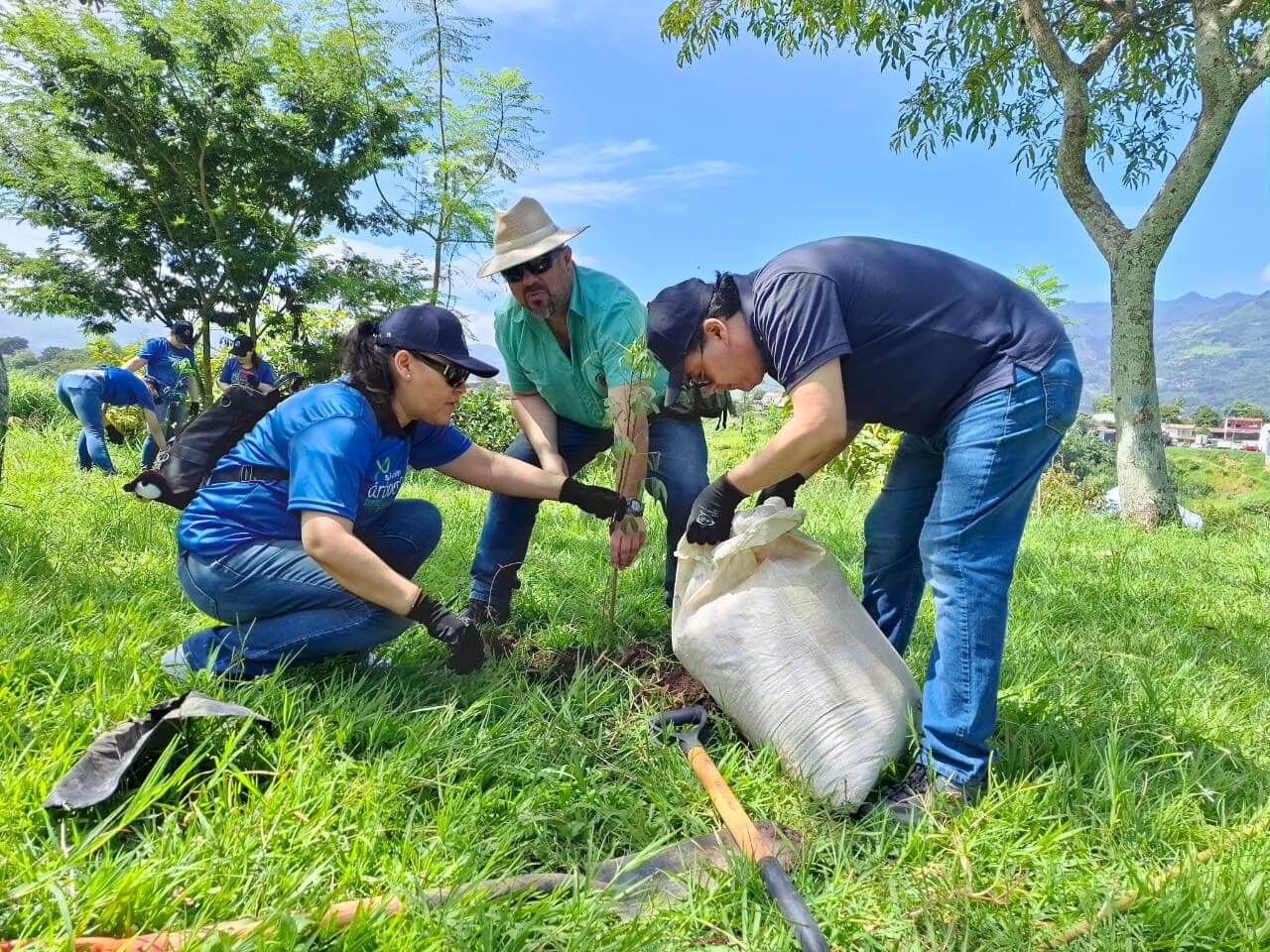 Voluntariado Gutis sembró más de 100 árboles cerca de La Sabana